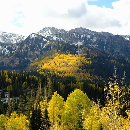 Cottonwood Heights - Lower Level Of Mountain Home! Ngoại thất bức ảnh