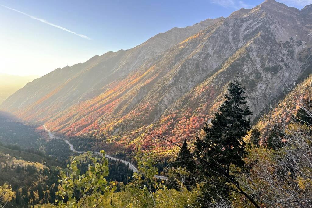 Cottonwood Heights - Lower Level Of Mountain Home! Ngoại thất bức ảnh
